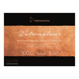 Hahnemuhle Collection - Acuarela de 300 bloques prensado en frío, 9 x 12 pulgadas, 300 g/m², 9 x 12 pulgadas, color blanco