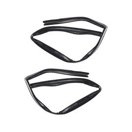 Front Door Window Glass Run Channel - Set of 2 - Compatible with 1987-1996 Dodge Dakota