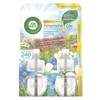 Air Wick Blütenzauber Scented Oil Bottle Refill 2 x 19 ml Spring Flowers and Dewy Fresh