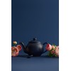 Price & Kensington Matt Navy Blue 2cup Teapot