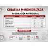 Bonsantelabs Creatina Monohidratada En Polvo ultra fino