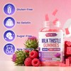 2 Pack Milk Thistle Gummies, Milk Thistle Extract for Antioxidant
