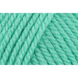 Stylecraft Special Chunky Crochet Yarn, 100% Acrylic Knitting Wool for Blankets, Cushion Covers, Toys, Jumpers - 100g Ball - Green (1116) - Single (1 Ball)