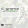 Nootropics Depot Cápsulas De Bacopa Mejoradas De Cognance 100Mg 10