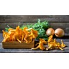 RAISE ME UP: Chanterelle Mushrooms Spores Non GMO Heirloom 100