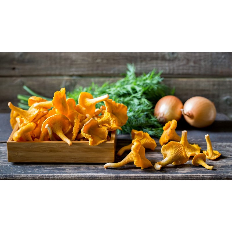 RAISE ME UP: Chanterelle Mushrooms Spores Non GMO Heirloom 100