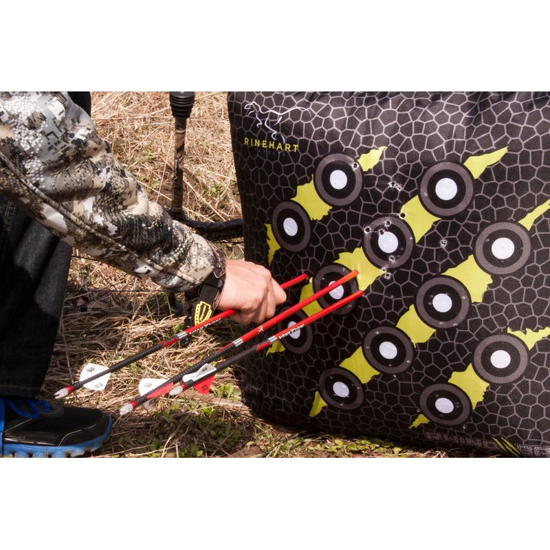 Rinehart Targets 57211 Raptor 22 Bag Target