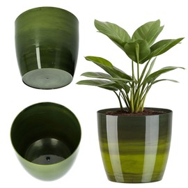 Kadax Flower pot, plant pot with saucer, round plastic matt flower pot for cacti, ferns, shiny planter for balcony, home and terrace
