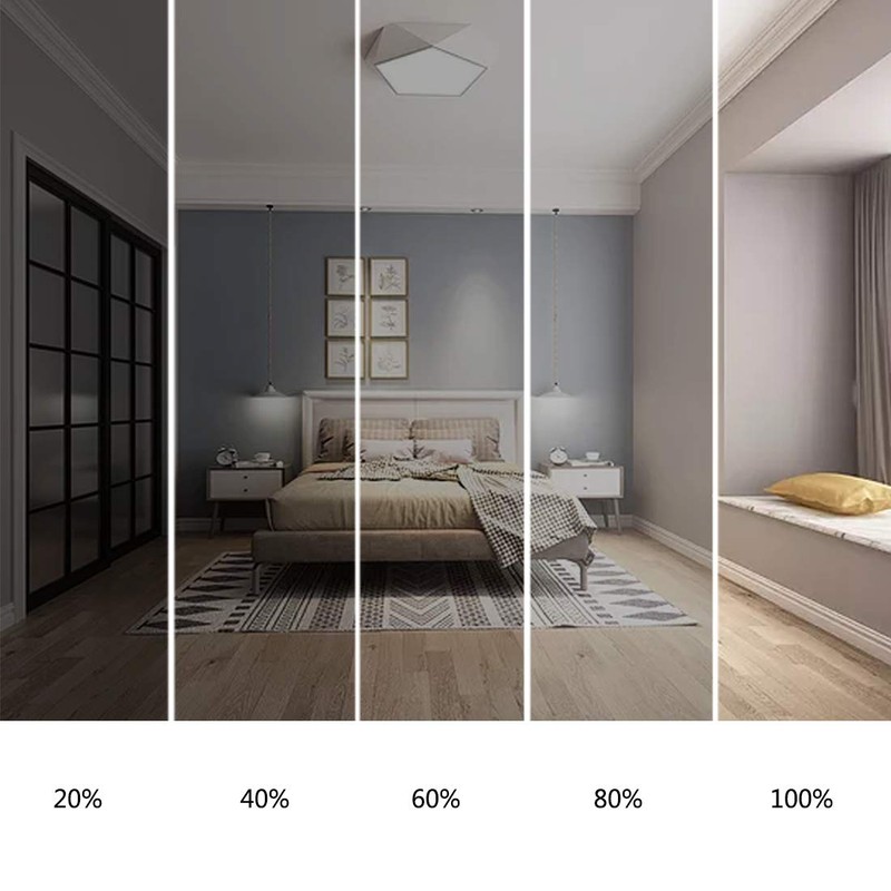 Rowrun PAR20 LED Bulbs 100W Equivalent 16W, Dimmable 6000K Cold