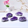 WUYOUSHI Natural Amethyst Crystal Cluster Healing Stones Raw Amethyst Rock