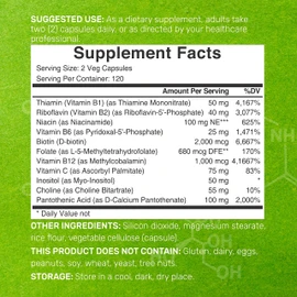 Bioactive Vitamin B Complex for Men & Women, 240 Veggie Capsules - Methylated B Complex & Esterified Vitamin C – High Potency & Easy Absorption – Immune, Energy & Metabolism Supplement – Non-GMO
