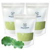 Hello Green Domestic Lotus Leaf Powder 300gX3 (Pack) Total 900g / 헬로우그린 국내산 연잎 분말 300gX3(팩) 총900g