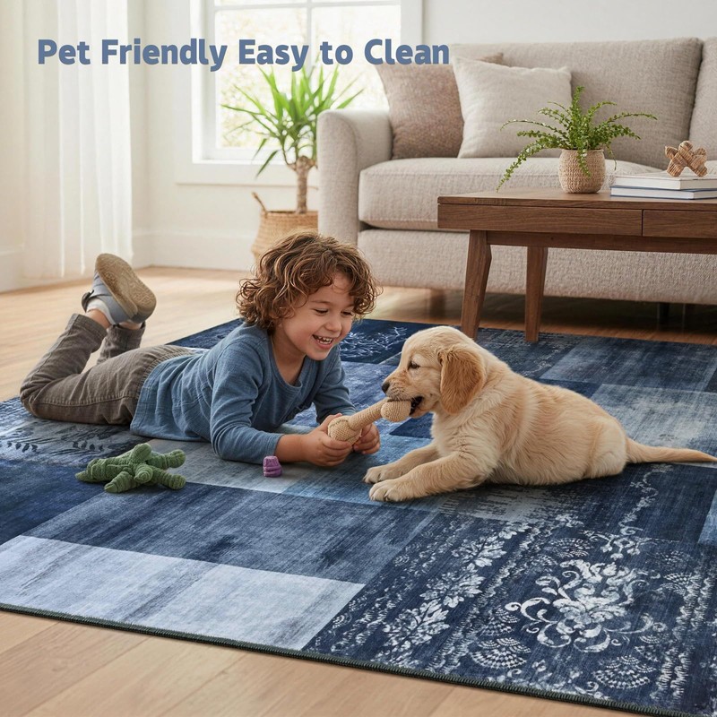 DweIke Washable Area Rugs 4x6 for Living Room, Modern Geometric