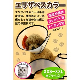 (RONGUI) Elizabeth Color, 7 Sizes (S)