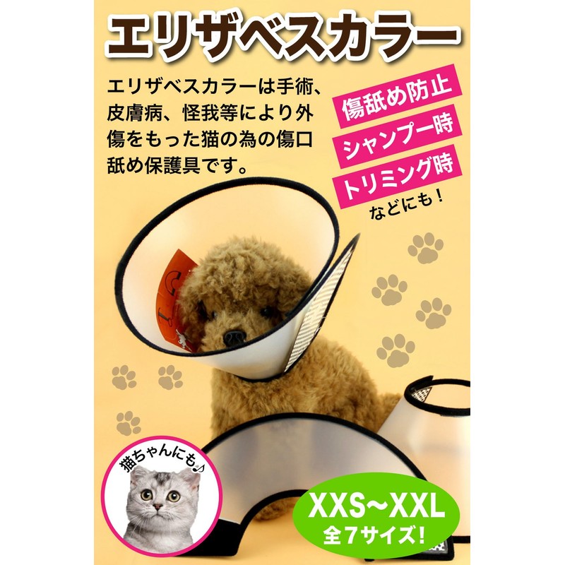 (RONGUI) Elizabeth Color, 7 Sizes (S)