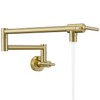 Fransiton Brushed Gold Pot Filler, Pot Filler Faucet Wall Mount,