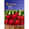 Kiepenkerl Kiepenkerl, Radies Giant Butter