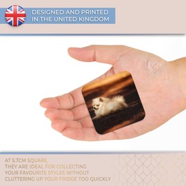 Destination Vinyl ltd Fridge Magnet - Cute Pomeranian Puppy Dog 2693