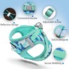 Jolifield Step in Dog Harness with Leash Set, Adjustable Soft