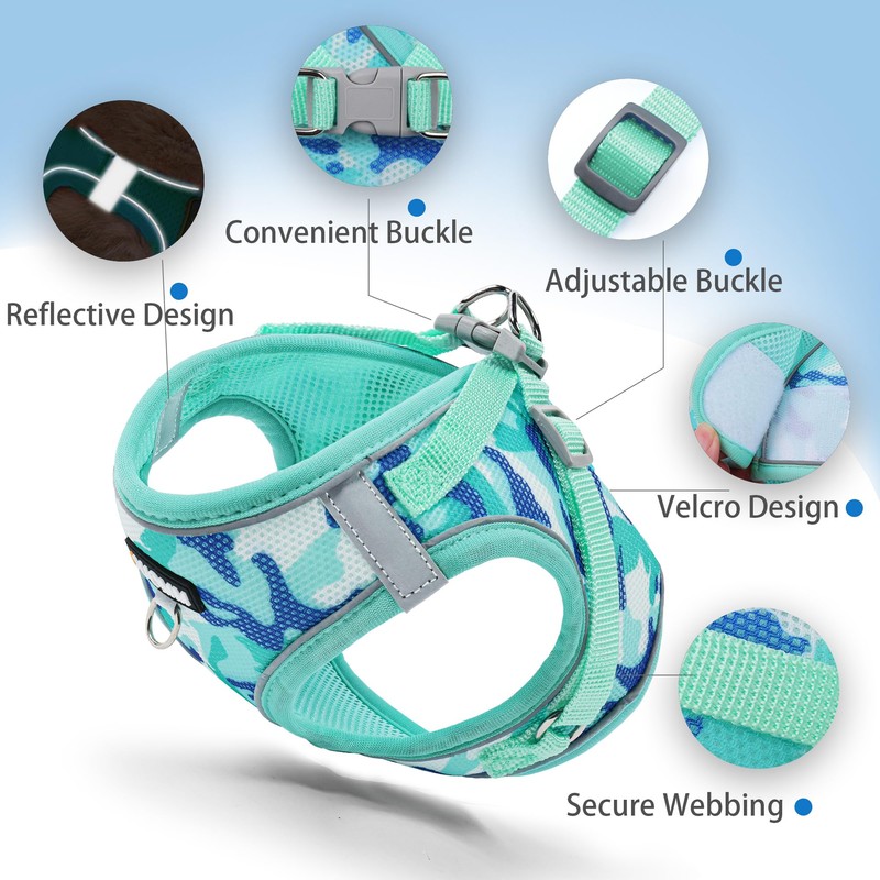 Jolifield Step in Dog Harness with Leash Set, Adjustable Soft