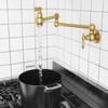 Besdor Gold Pot Filler Faucet, Wall Mount Over Stove Faucet,