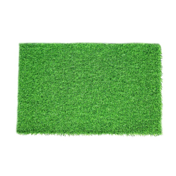 Paladin Small Smooth Cut Indoor Mat - Anti-Slip, Quick-Drying Synthetic