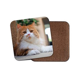 1 x Cute Ginger Cat Coaster - Kitten Cats Pretty Fluffy Mum Gran Auntie #15289
