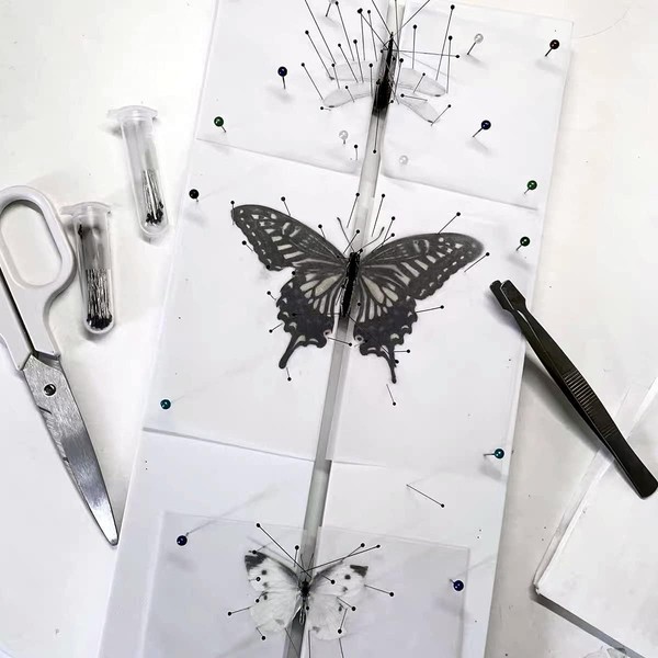 Insect Pinning Board, EVA Foam Board Pose Insects Boards Butterfly