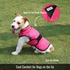 LUCOLOVE Dog Cooling Vest with Ice Pack – 2-Layer Evaporative