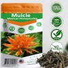 Gabio Green Muicle Natural Honeysuckle Hierba tea Gabio Green herbs