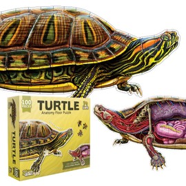 Turtle Animal Anatomy Floor Puzzle | 100-Piece Double Sided Jigsaw Puzzle | Large-Sized, Over 4 Feet Scientifically Accurate Illustration - Fun and Educational Toy for Kids, Toddlers and Families