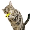 Catty Man Punished Cat Matatabi Dental Neko-Nyan x 3 Pieces