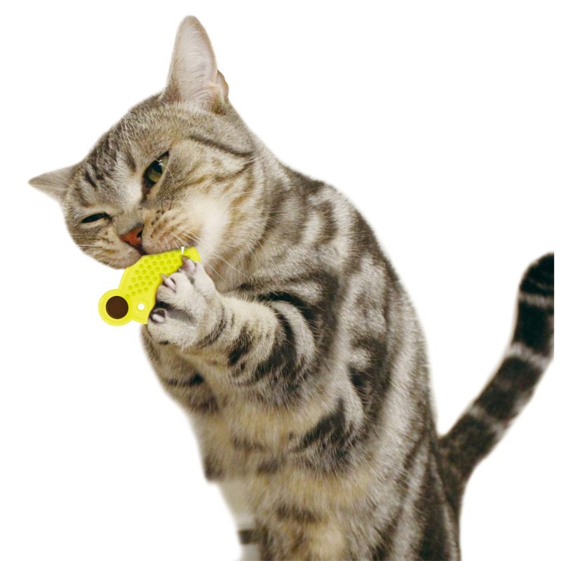 Catty Man Punished Cat Matatabi Dental Neko-Nyan x 3 Pieces