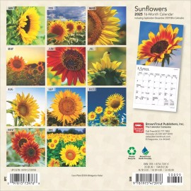 BrownTrout Sunflowers | 2025 7 x 14 Inch Monthly Mini Wall Calendar