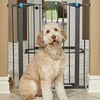 MidWest Homes for Pets Pet Gate | 39' High Walk-thru
