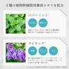 【医療発想 浸透補修トリートメント】mamu LAB｜リジェネEXトリートメント 300ml エクソソーム ヒト幹細胞培養液 ビタミンC