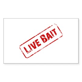 CafePress Live Bait Rectangle Bumper Sticker Car Decal