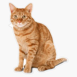 Ginger Cat Sticker Sticker Outdoor Rated Vinyl Sticker Decal for Windows, Bumpers, Laptops or Crafts 5"