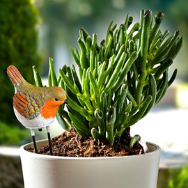 3 PAGEN® Watering Indicator Robin - Acoustic Signal for Watering - Soil Moisture Meter - Plant Care Made Easy - Decorative Figure with Smart Function - Moisture Indicator