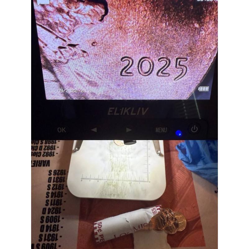 2025 P&D Lincoln Penny Cent Set **FREE SHIPPING**