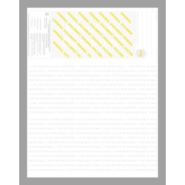 3000 Blank Laser Check Stock - Blue Marble - Top. Order Checks!