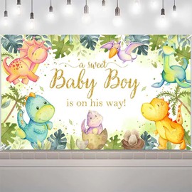 VanillaBay Dinosaur Baby Shower Backdrop A Sweet Baby Boy is on His Way Photo Backdrops Dino Party Decorations Supplies Photography Background 70.8x43.3 inch
