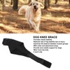 Dog Knee Brace Breathable Supportive Reduce Pain Joint Protection Dog