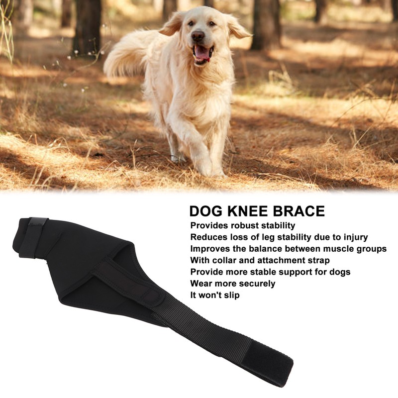 Dog Knee Brace Breathable Supportive Reduce Pain Joint Protection Dog