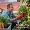 Professional 16-16-16 All Purpose Garden Fertilizer for Lawns, Flowers, Trees,