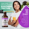 FLORIDA HERBS Eleuthero Tincture, Organic Eleuthero Extract (Siberian Ginseng, Eleutherococcus