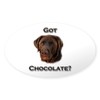 CafePress Got Chocolate Oval Car Bumper Sticker