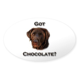 CafePress Got Chocolate Oval Car Bumper Sticker