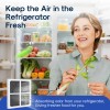 ICEPURE Premium Refrigerator Air Filter 3 Pack Compatible with LG