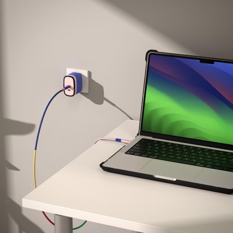 CASETiFY Powerthru 67W Fast Charger - Pink/Blue